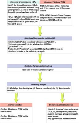 Based on systematic druggable genome-wide Mendelian randomization identifies therapeutic targets for diabetes